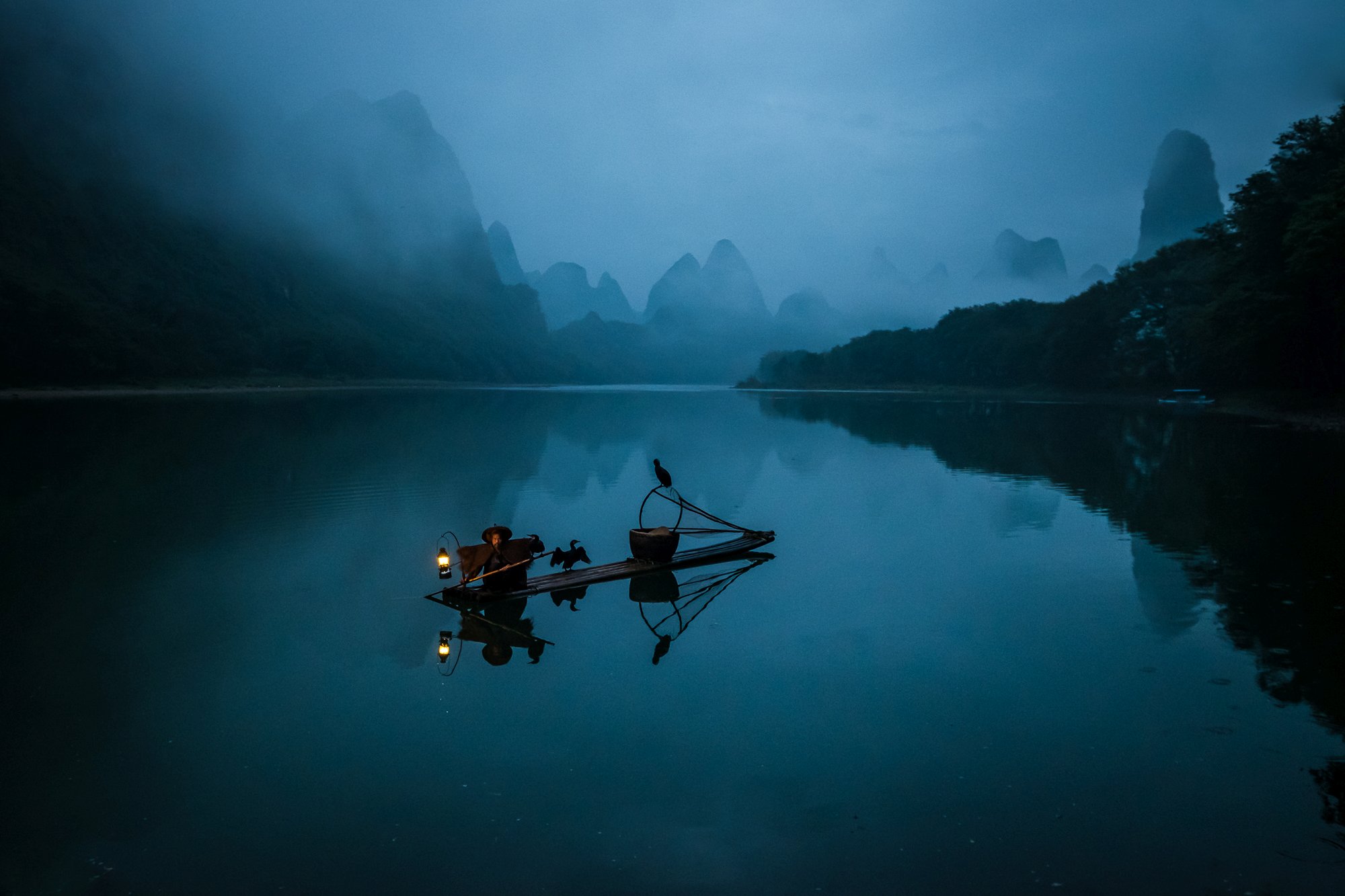 Cormorant fishing is a traditional fishing method in which fishermen use trained cormorants to fish in rivers. A fisherman is seen as he is about to release his cormorant for catching the fish.