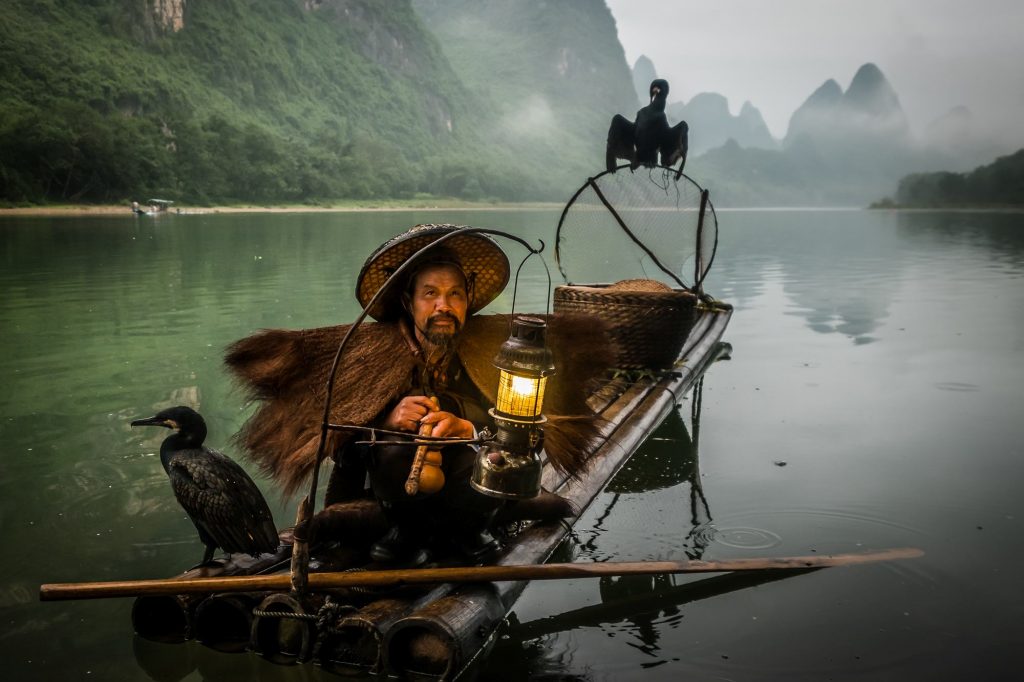 Cormorant fishing is a traditional fishing method in which fishermen use trained cormorants to fish in rivers. A fisherman along with his pet birds is seen as he sits for a break near the shore.