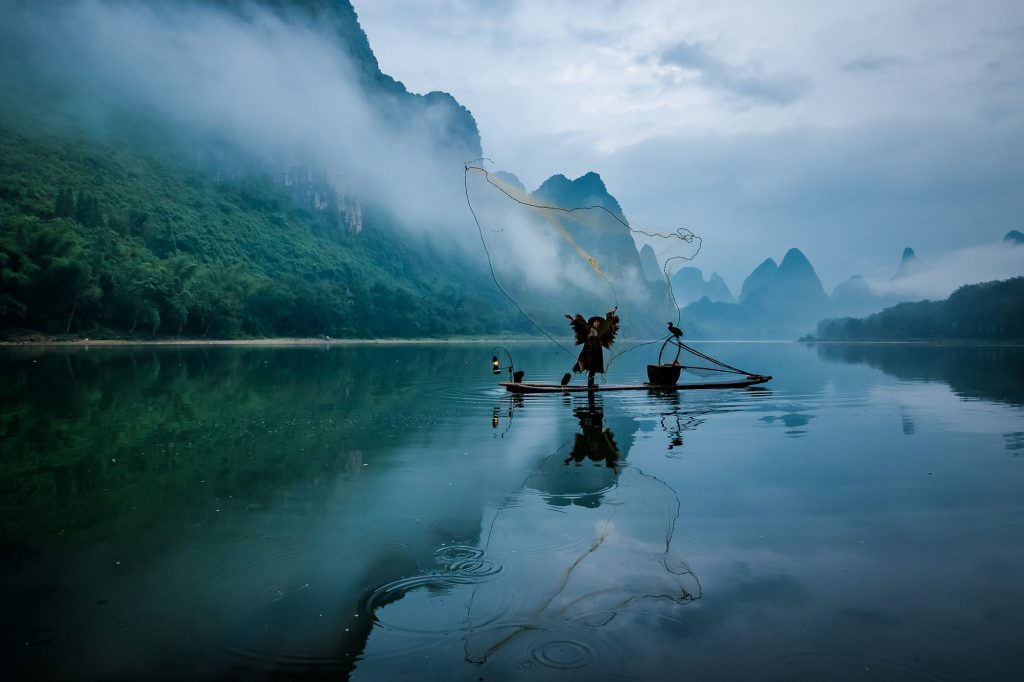 Cormorant fishing is a traditional fishing method in which fishermen use trained cormorants to fish in rivers. A fisherman is seen as he throws nets on the river for catching fish.