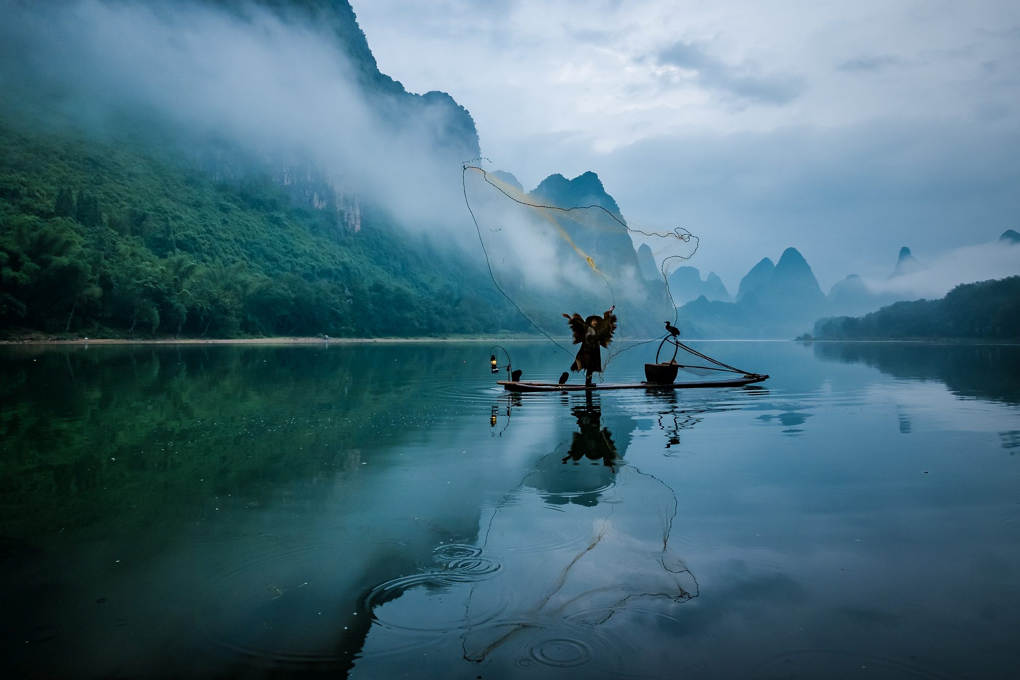 Cormorant fishing is a traditional fishing method in which fishermen use trained cormorants to fish in rivers. A fisherman is seen as he throws nets on the river for catching fish.