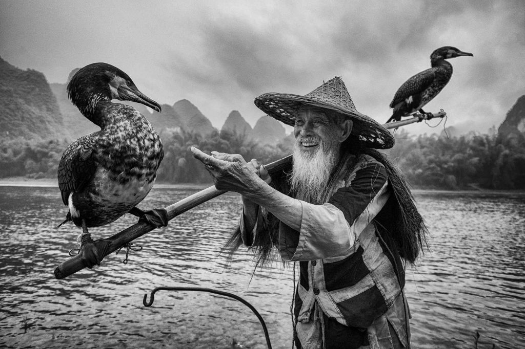 Cormorant fishing is quite an old tradition in Guangxi province of China. But now-a-days, the fishermen use their nets and not the birds for fishing. However, some men, like the one in the photograph, have not abandoned their cormorants yet. When no fish is caught in the net, this old man buys fish from market for his pets and feeds them. The fisherman and his birds hold a strong relationship between them. I was able to capture such a candid and funny moment that also depicts his affection for the old companions.