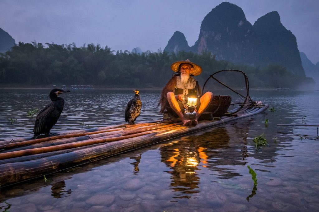 Cormorant fishing is a traditional fishing method in which fishermen use trained cormorants to fish in rivers. An aged fisherman along with his pet bird is seen as he sits for a.break near the shore of Li river.